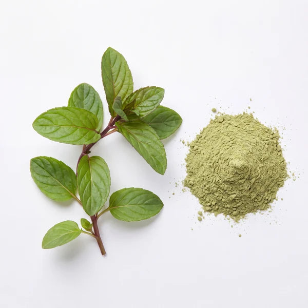 Spearmint extract
