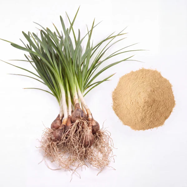 Narcissus bulb extract